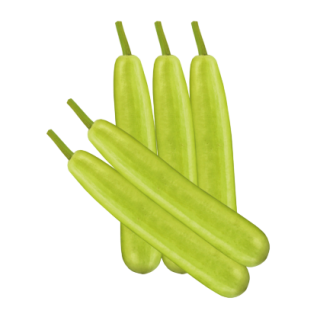 Bhushan Bottle Gourd From Known You Seed (India)-KYI